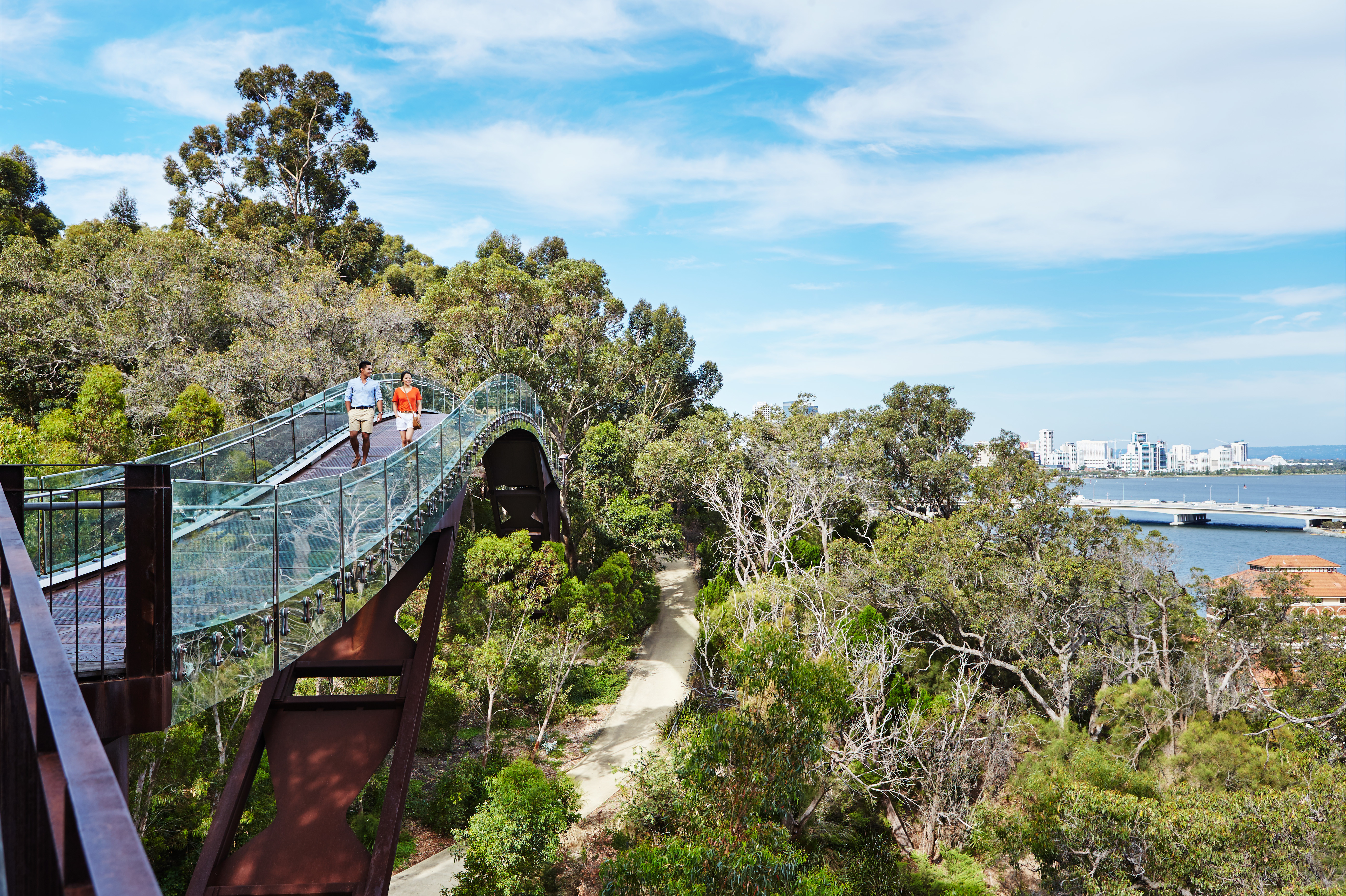 Two people walking the Kings Park treetop walkway with native bushland and the Perth city skyline across the Swan River
